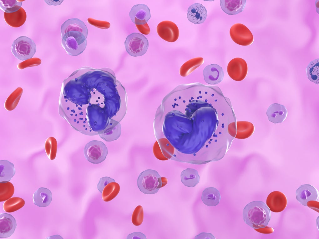 3d illustration chronic myeloid leukaemia 3d illustration chronic myeloid leukaemia