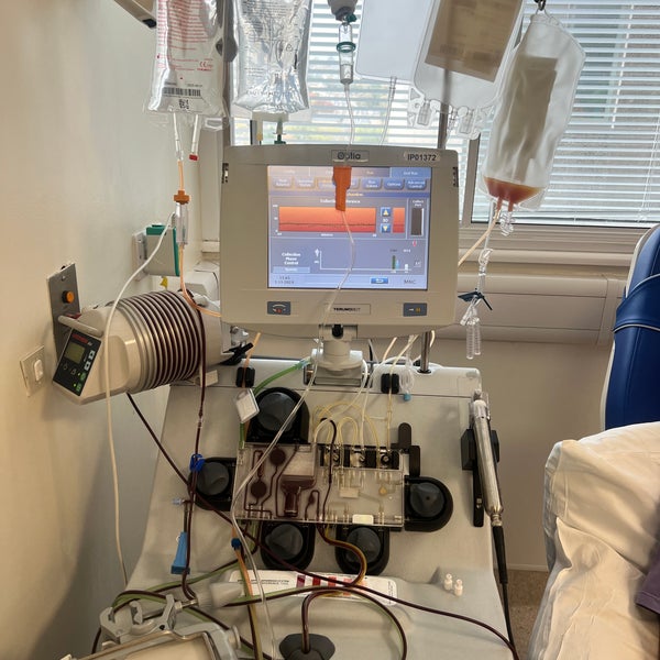 Apherisi machine which collects the stem cells Apherisi machine which collects the stem cells