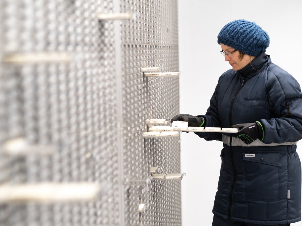 Stem cells are beeing stored and saved Stem cells are beeing stored and saved