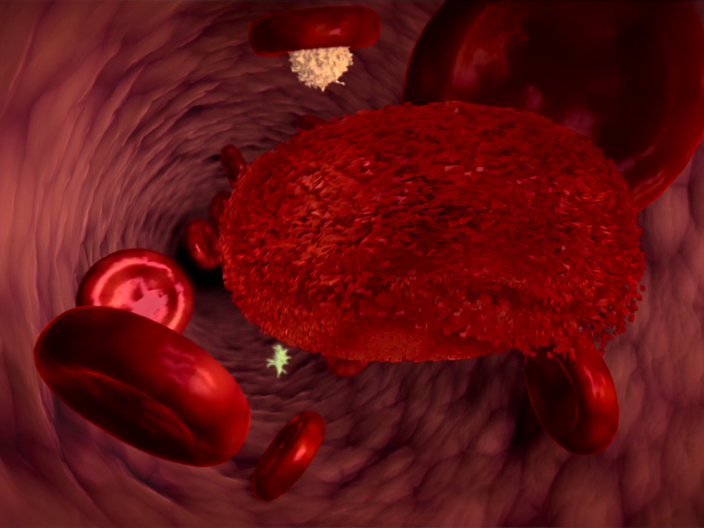 graphic showing blood cells graphic showing blood cells