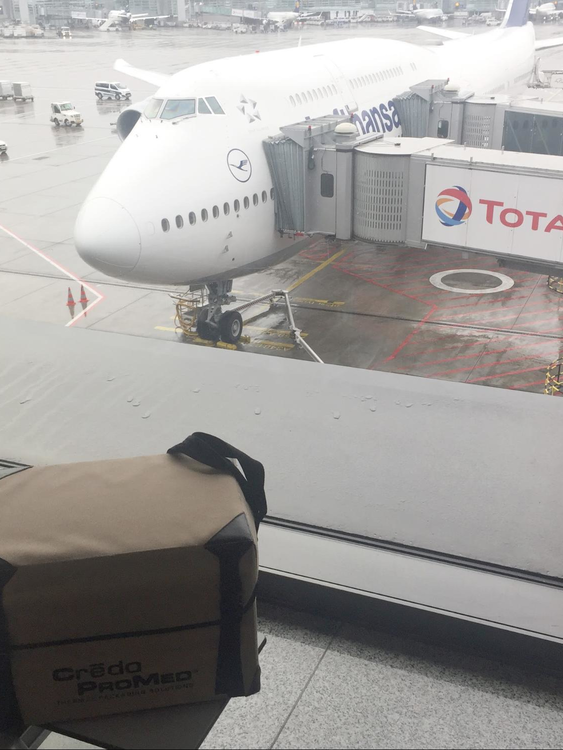 DKMS courier awaits her flight to the US