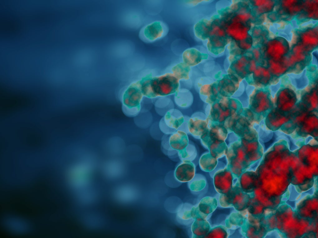 Graphic of white blood cells flowing through red blood  Graphic of white blood cells flowing through red blood