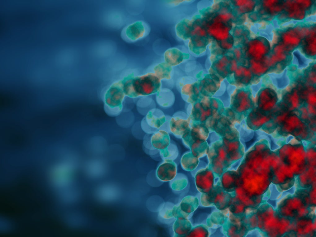 Graphic of white blood cells flowing through red blood Graphic of white blood cells flowing through red blood