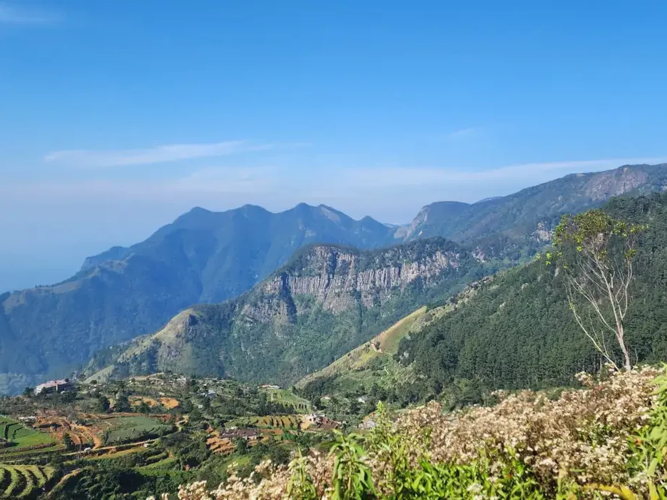 Image of the Sri Lankan highlands Image of the Sri Lankan highlands