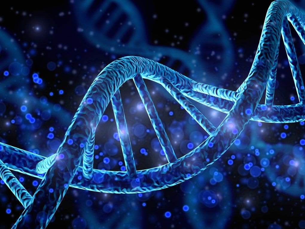 Photo of human DNA Photo of human DNA