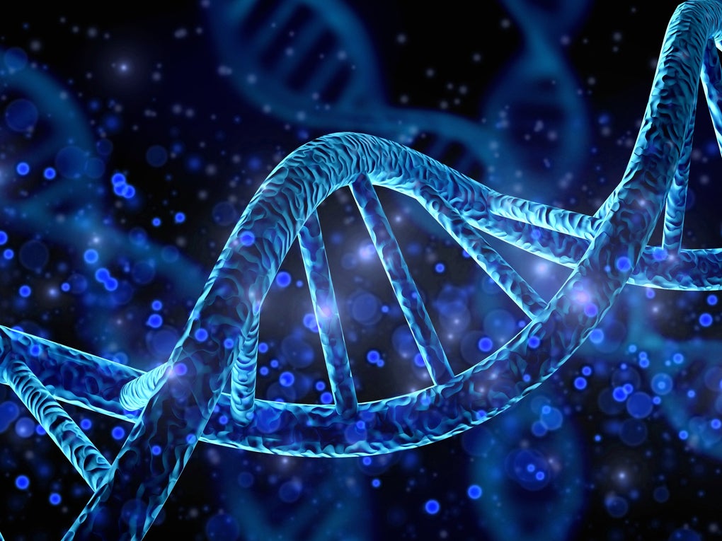 Photo of human DNA Photo of human DNA