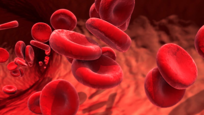 Macro image of blood cells