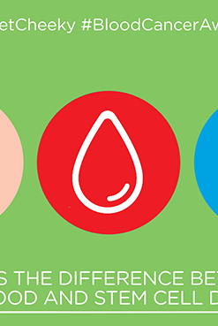 the difference between organ donation, blood donation and blood stem cell donations.