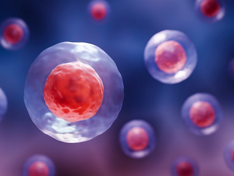 A 3d illustration of stem cells A 3d illustration of stem cells
