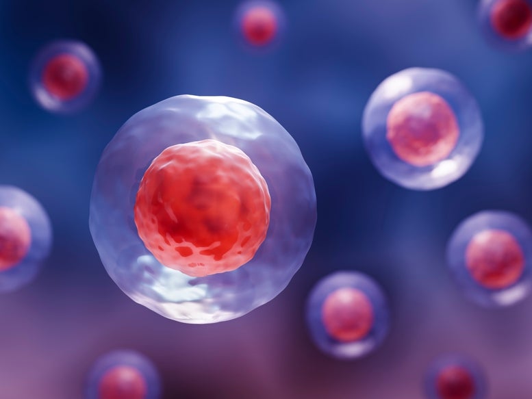 A 3d illustration of stem cells  A 3d illustration of stem cells