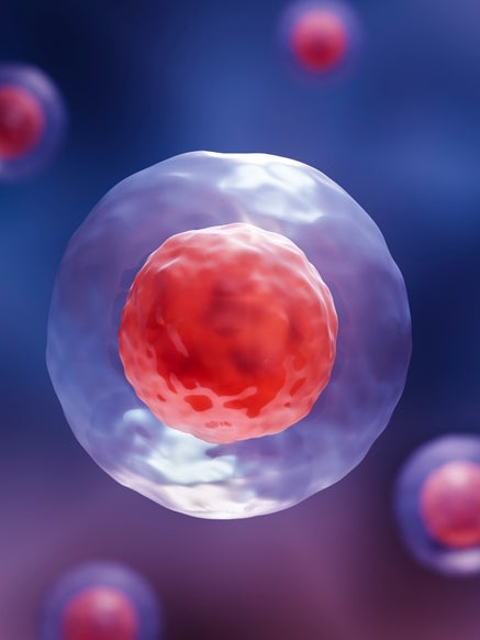 A 3d illustration of stem cells A 3d illustration of stem cells
