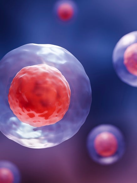 A 3d illustration of stem cells  A 3d illustration of stem cells