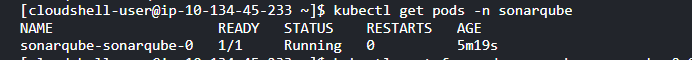 Cloudshell output showing SonarQube is running