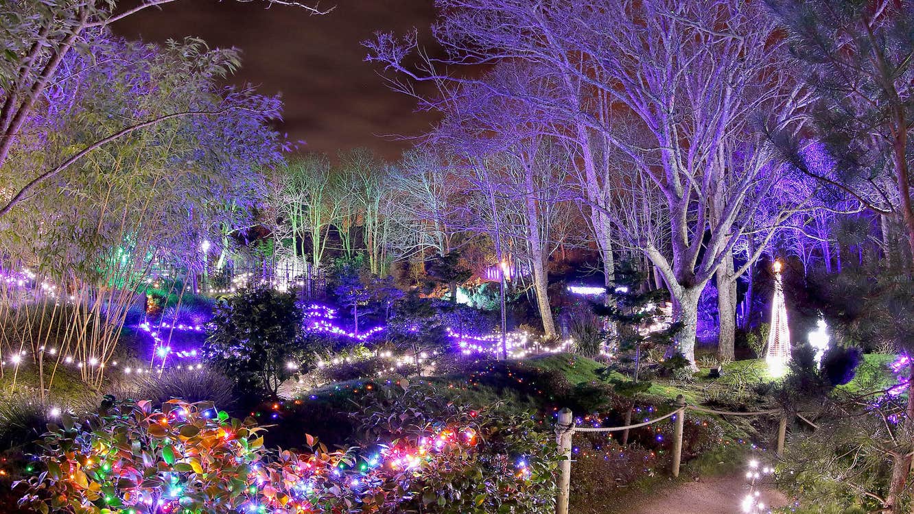Enchanted Garden Tramore Winter Lights