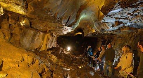 Five adults and one child standing on metal railed walkway looking on as a guide points upwards with a torch in a cavern with yellow lighting within the limestone cave