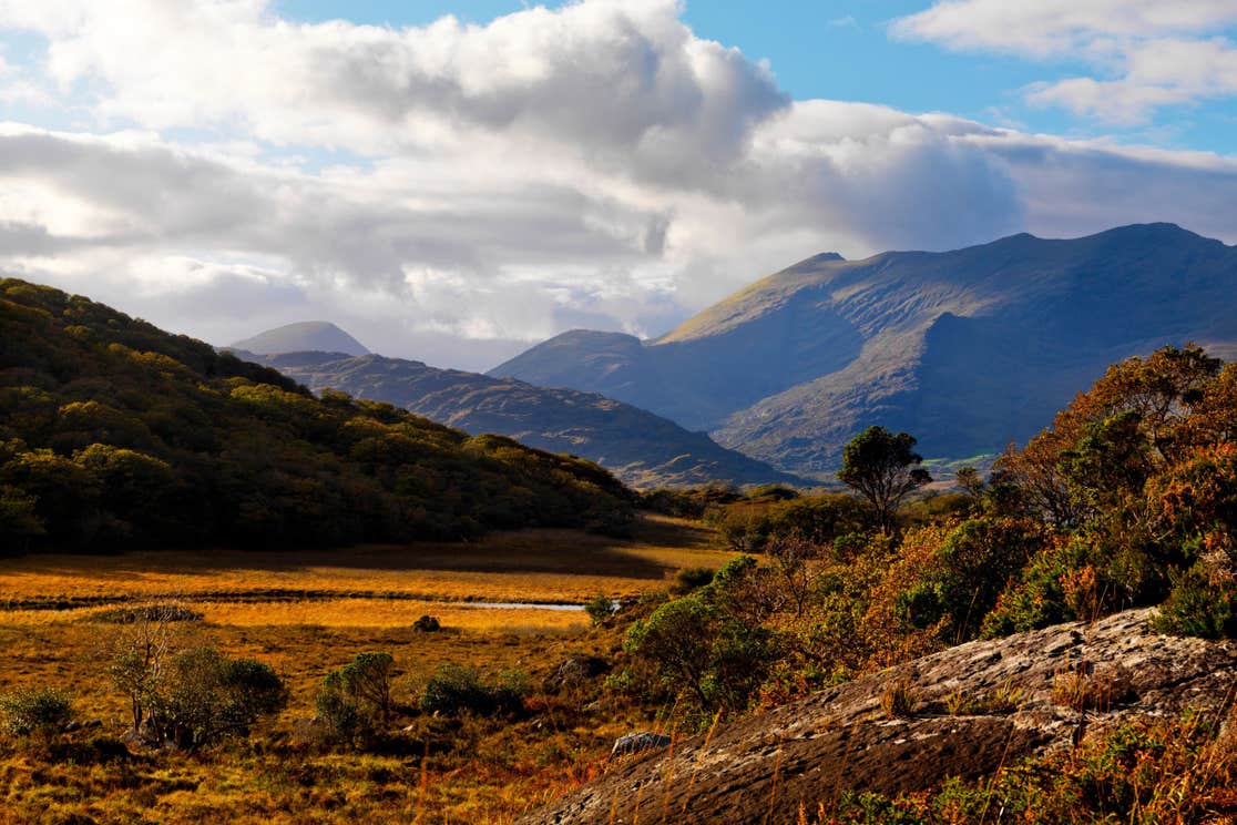 Autumnal colours on the mountains in Killarney National Park, Kerry