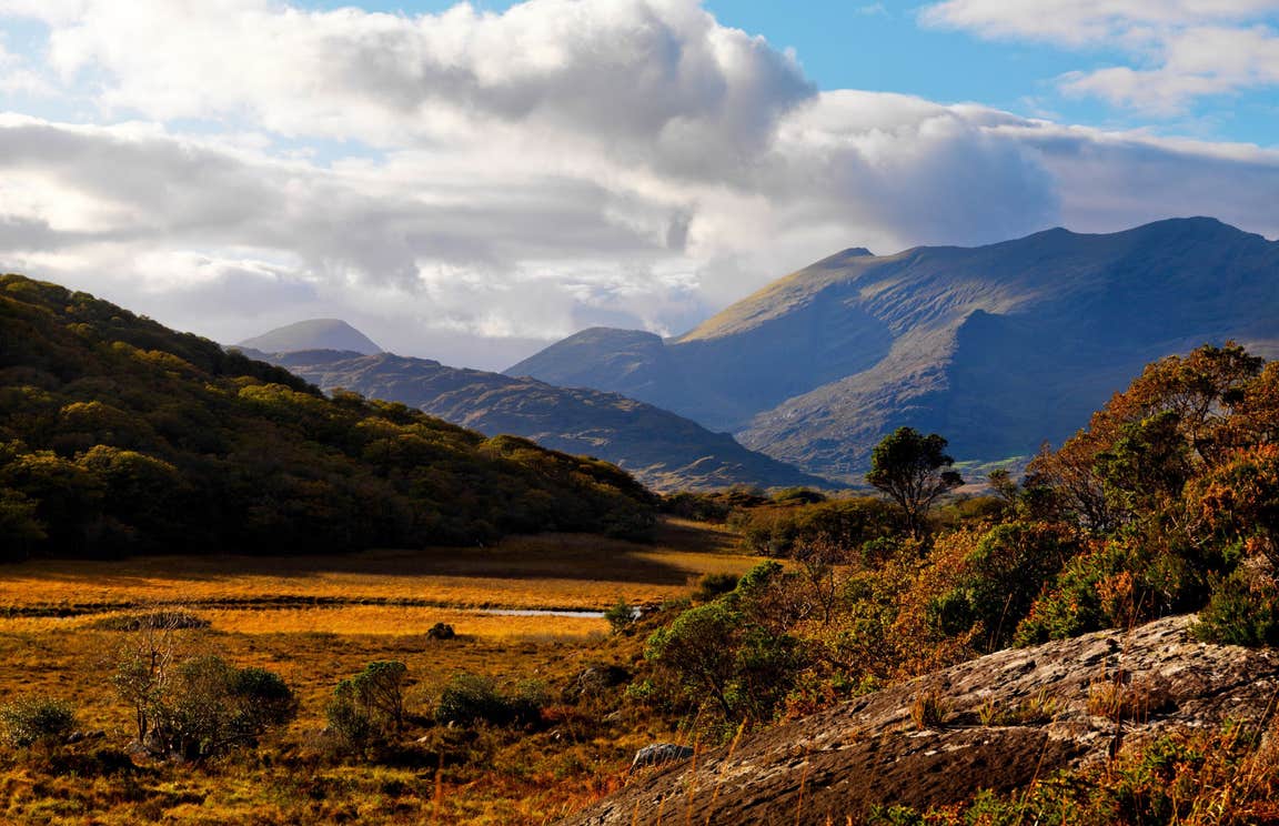 Autumnal colours on the mountains in Killarney National Park, Kerry