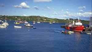 Schull Farmers Market