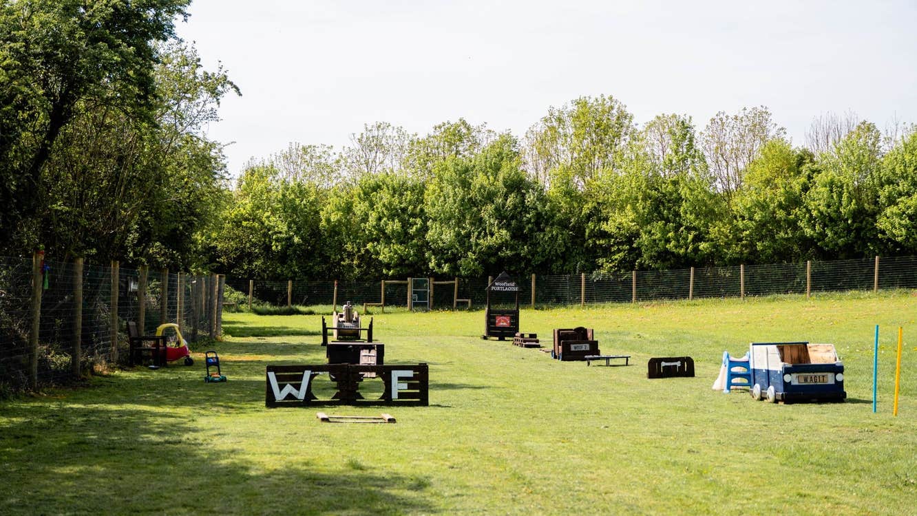 An activity course for dogs with wooden structures on a green field