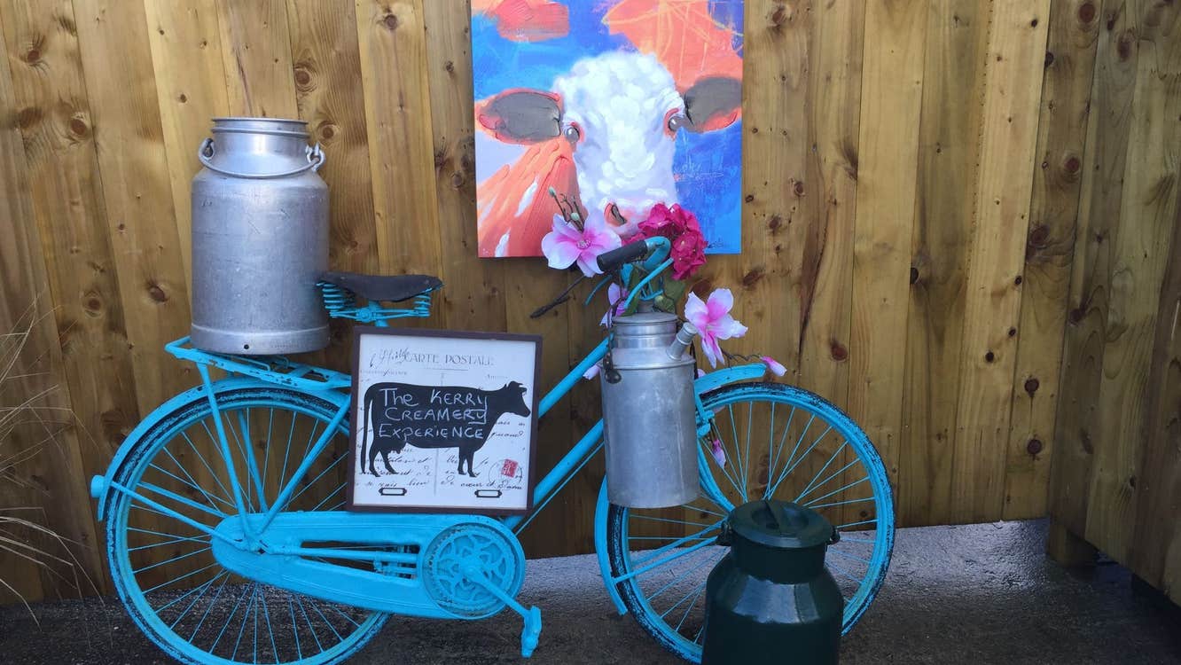 A blue bicycle holding The Kerry Creamery Experience sign at the entrance