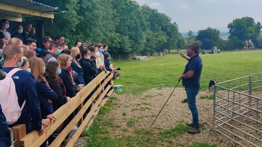 Crowd of onlookers enjoying a sheep herding talk at Irish Working Sheepdogs in Kildare