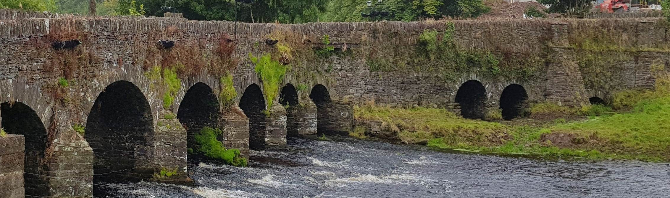 Image of a bridge in Dripsey in County Cork