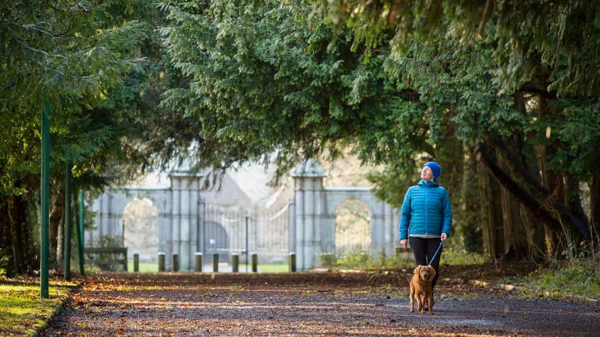 Woman walking a dog around Portumna Castle and Gardens in Galway