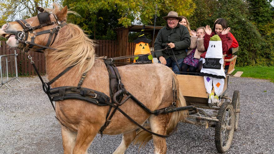 A family going on a Halloween-themed horse-led carriage at Red Mountain Open Farm in Donore, County Meath