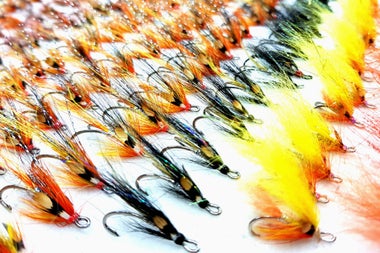 Selection of flies