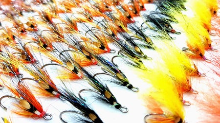 Selection of flies