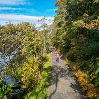 Slish Wood Trail in Sligo.