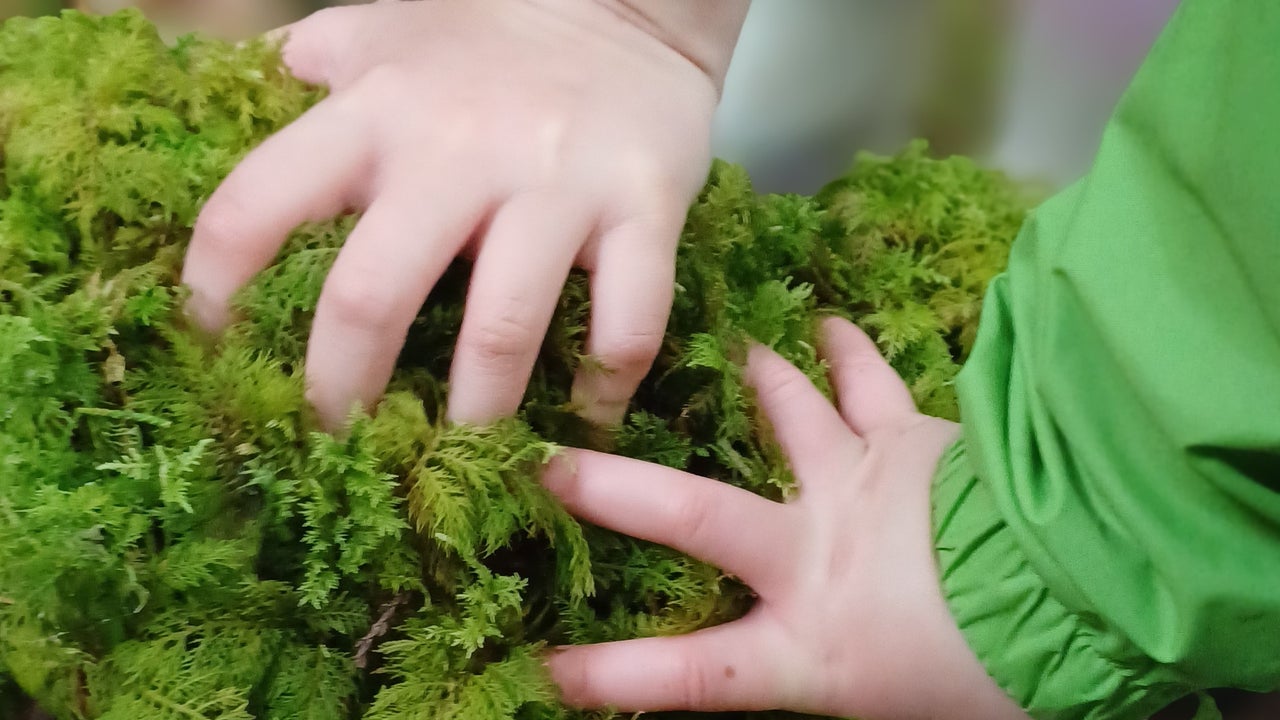 Families in the Forest is jam-packed with sensory activities the whole family can enjoy.