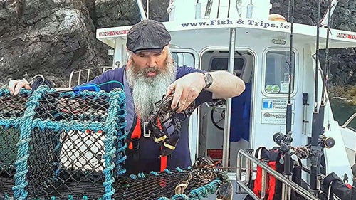 lambay island boat trips