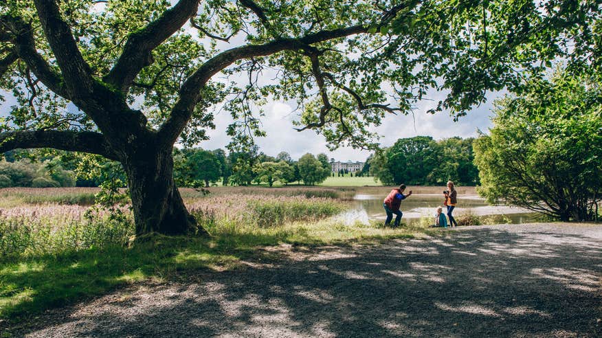 People taking photos with a backdrop of gardens and woodland in Emo Court