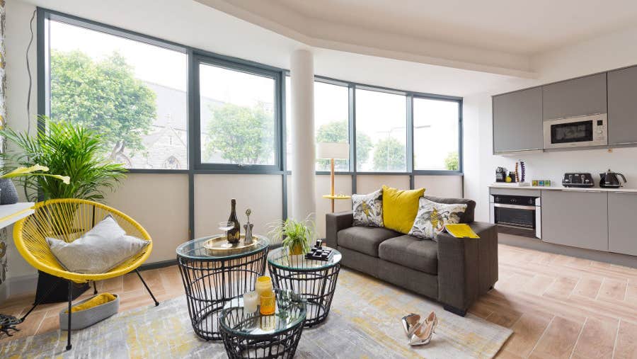 Kitchen come living room with couch and grey units