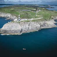 Image of Kinsale Sea Safari