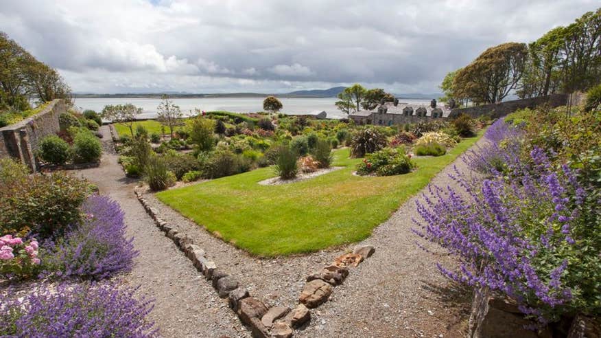 Colourful plants and shrubs at Lissadell House & Gardens, County Sligo