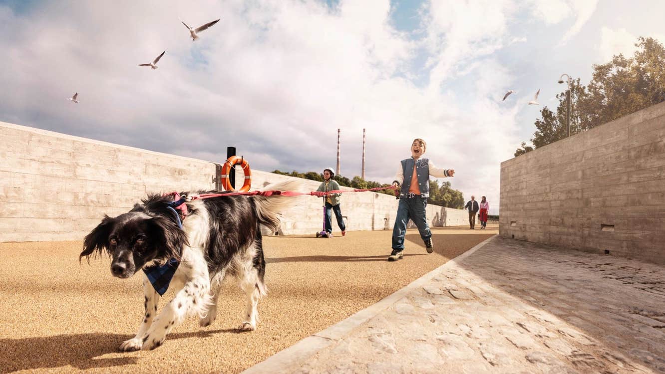 Two kids walking with their dog while two adults follow them