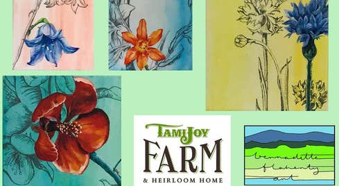 Botanical Art Workshops at TamiJoyFarm. Painting workshop & bespoke farm to table tasting experience. Learn to capture nature through watercolour with Connemara artist, Bernadette Flaherty.