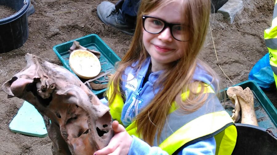 The Big Dig: A Viking Adventure for Kids