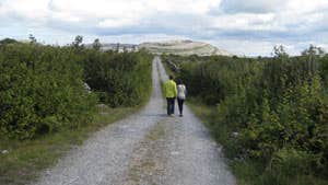 Burren Experience Guided Walks