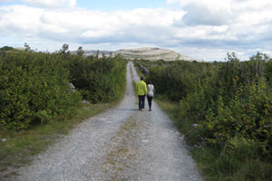 Burren Experience Guided Walks, Corofin, Clare