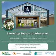 Poster for Carlow Snowdrop Time - Arboretum