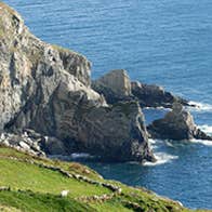 Sheeps Head