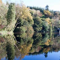 a wonder view of one of the lakes at the Castlecomer Discovery Park