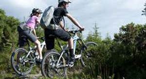 Ballinastoe Mountain Bike Trail