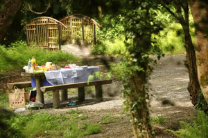 Walking at the Castlecomer Discovery Park