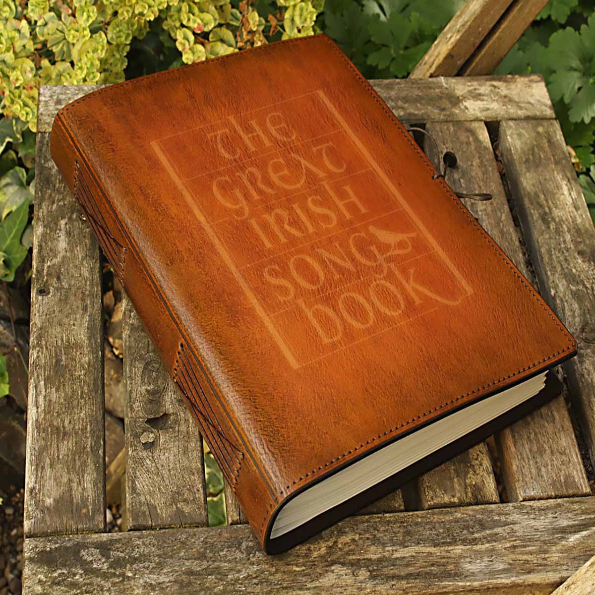 The Great Irish Song Book