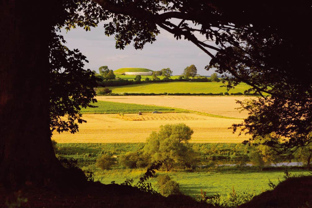Field in Newgrange, County Meath