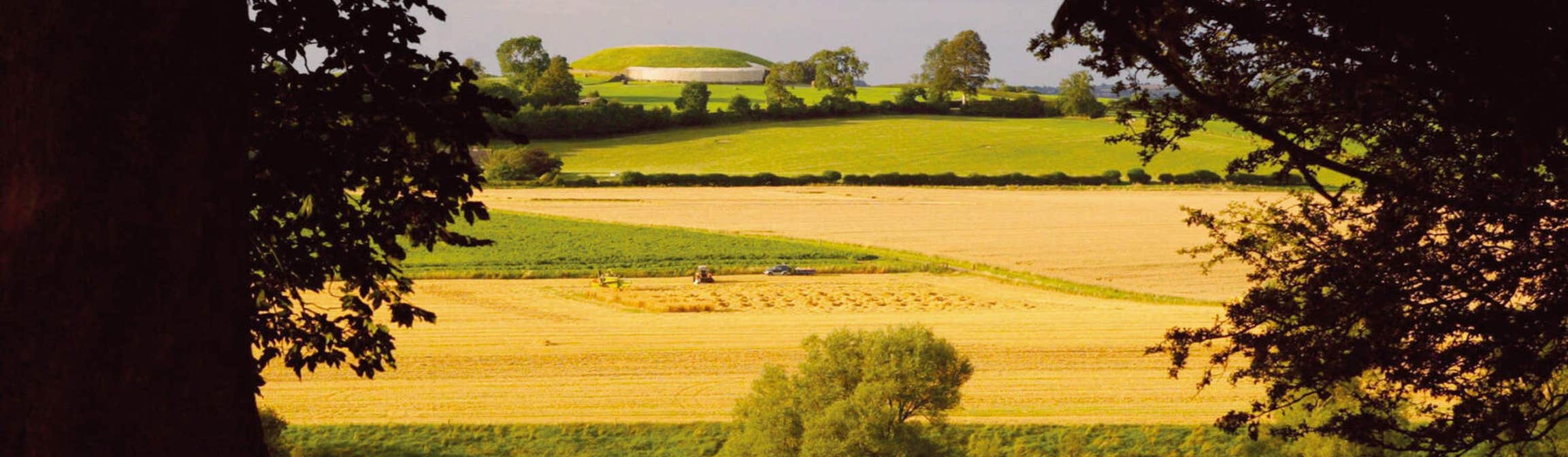 Field in Newgrange, County Meath